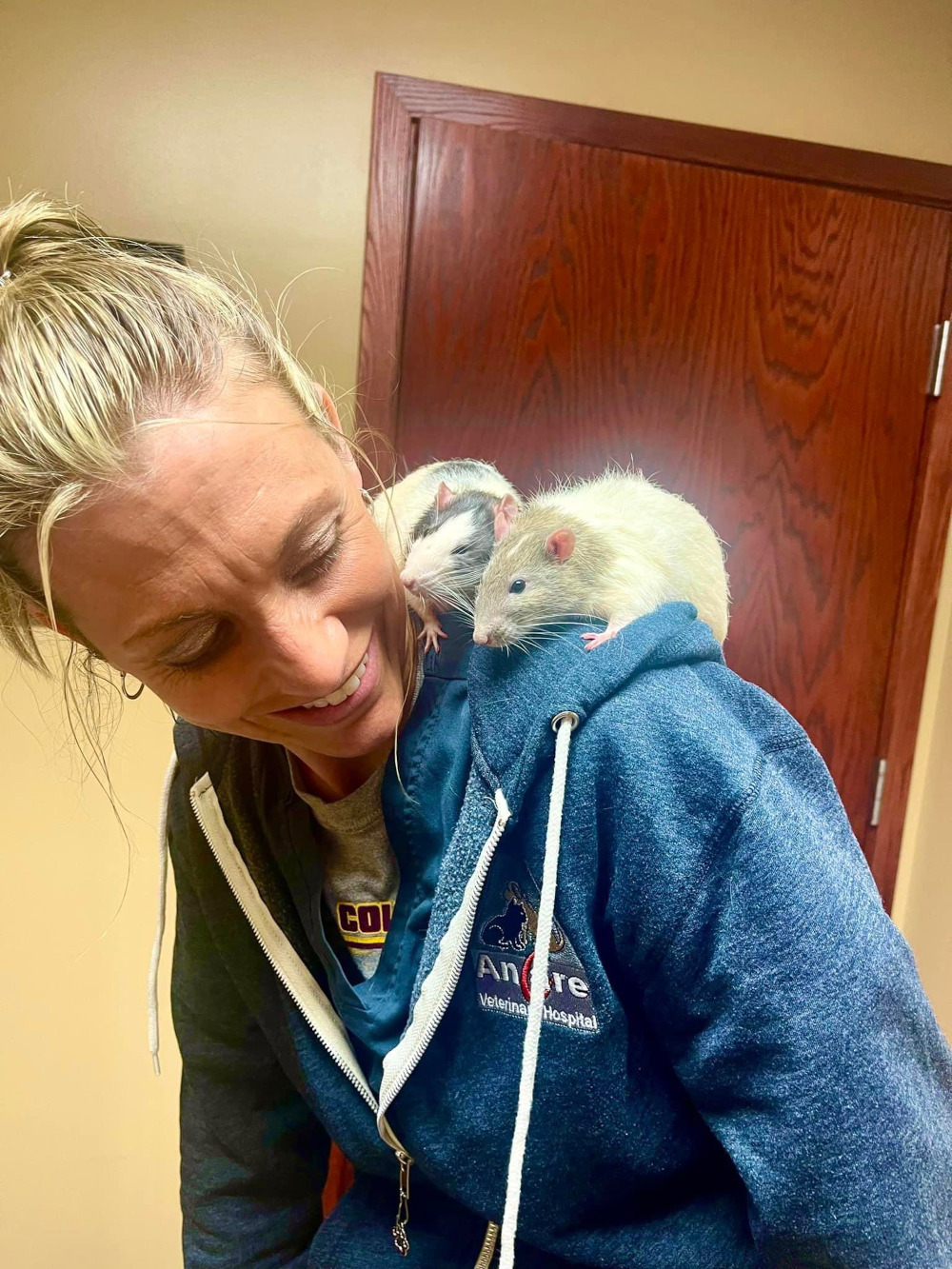 Rat care at Ancare