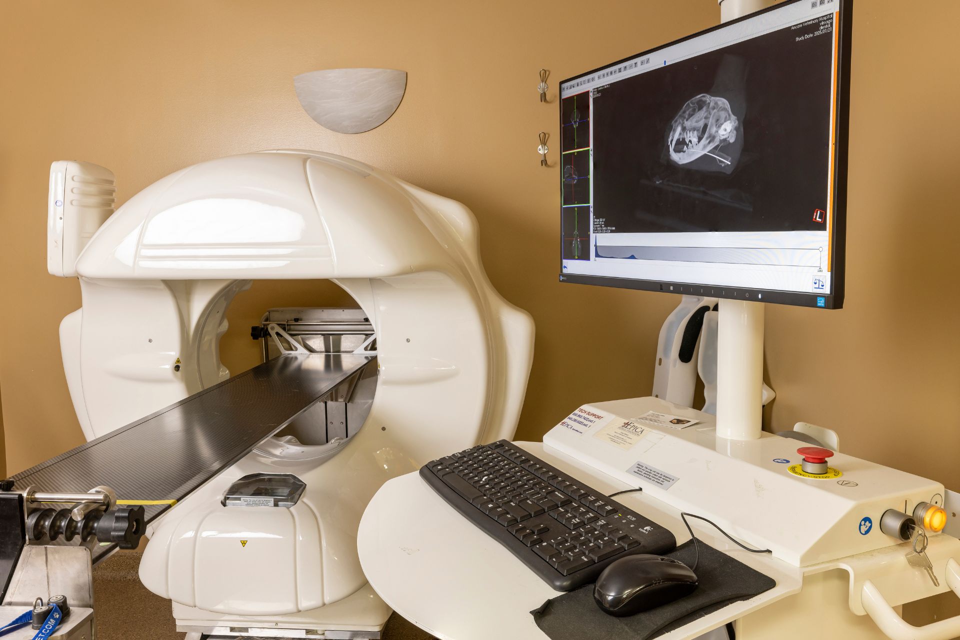 Cat Scan for Dogs and Cats at Ancare Veterinary Hospital in La Salle, IL