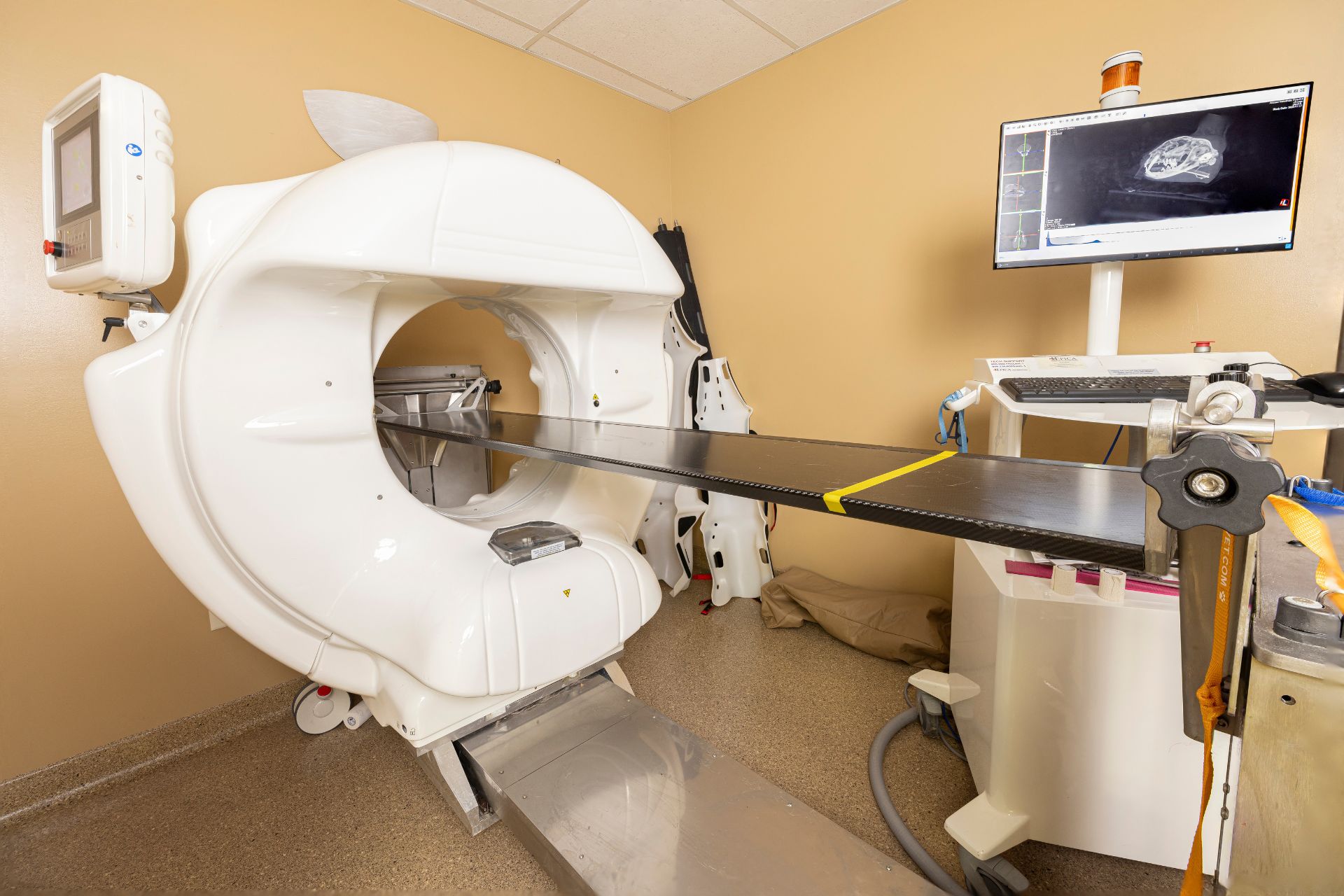 Cat Scans for Dogs or Cats at Ancare Veterinary Hospital