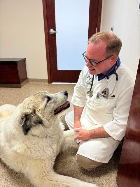Dr. Dullard performing a wellness exam