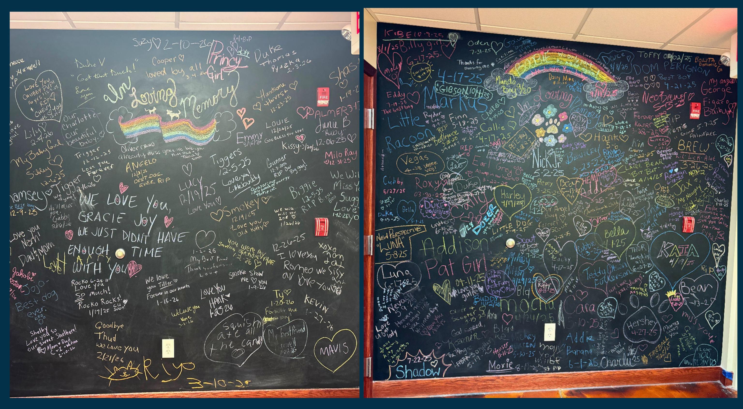 Memories wall at Ancare Vet