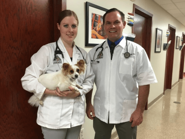 associate dvm wanted Lasalle