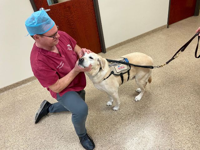 Exams at Ancare Vet