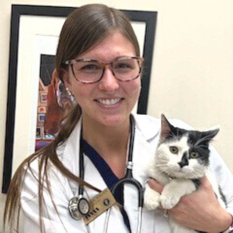 Jennifer - Extern at Ancare Vet