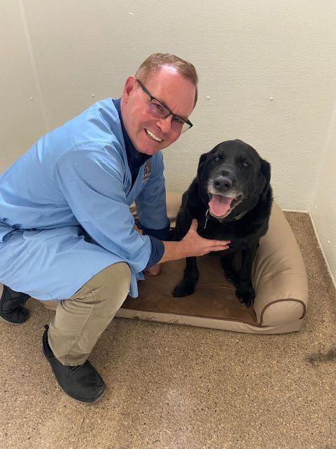 Dr. Dullard examining a senior dog at Ancare Vet Hospital