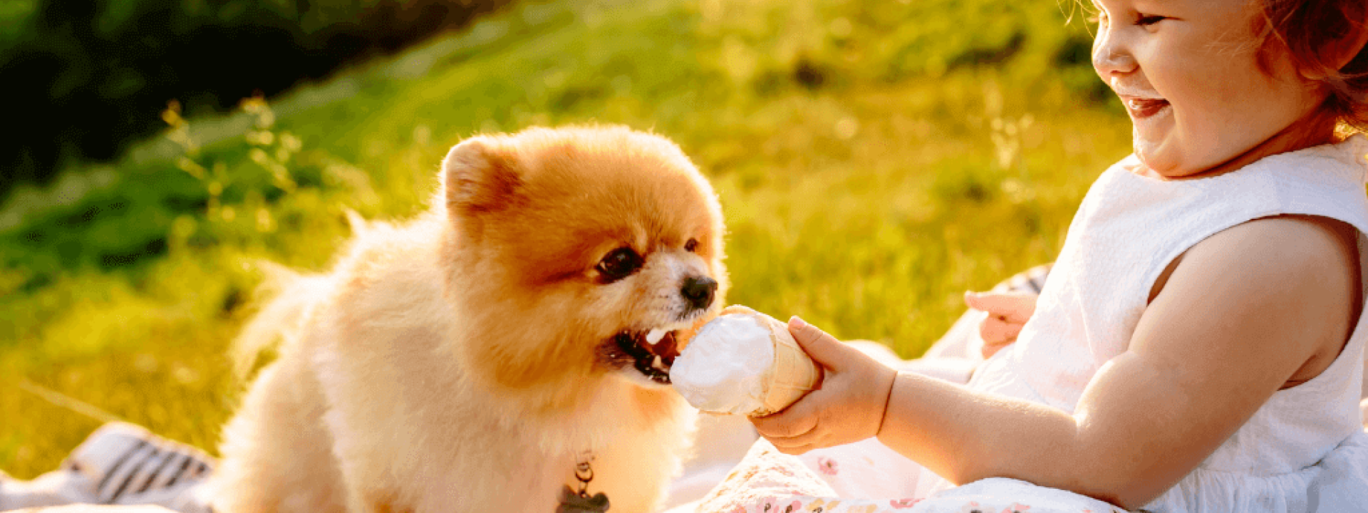 National Dessert Day safe pet recipes