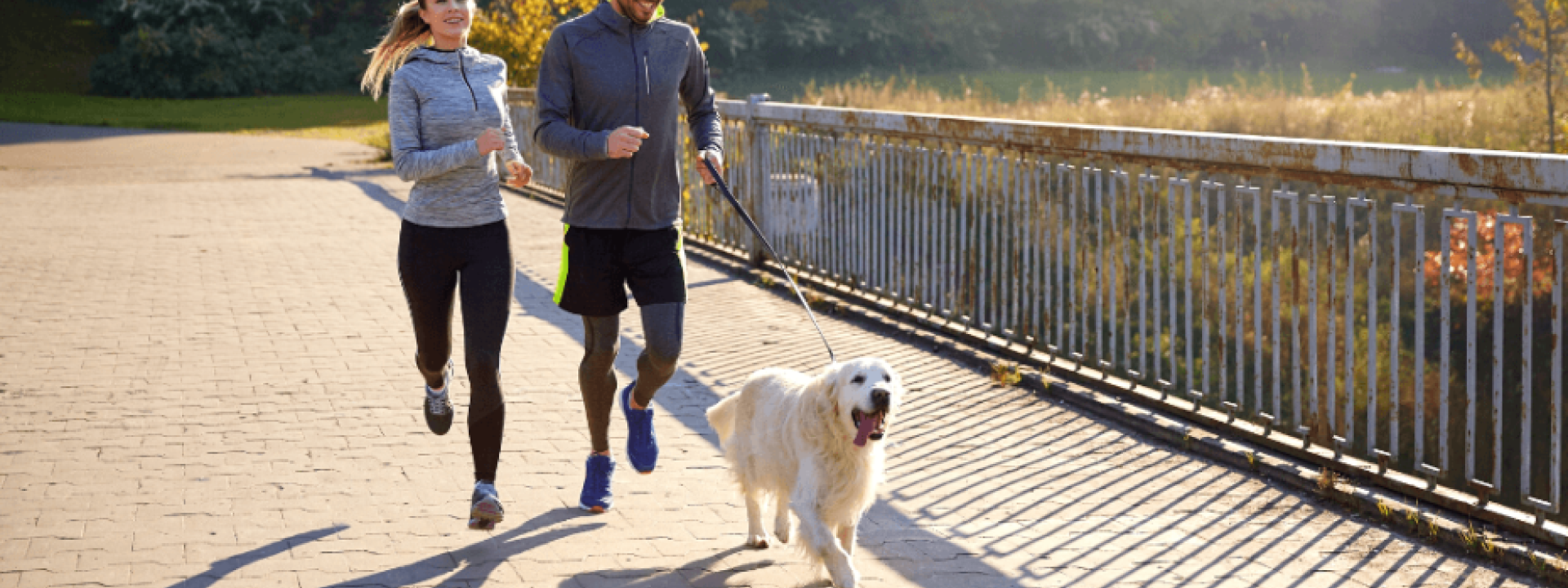 Best small dog shop for running