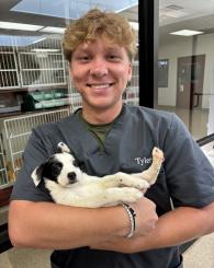Tyler a CSR at Ancare Vet