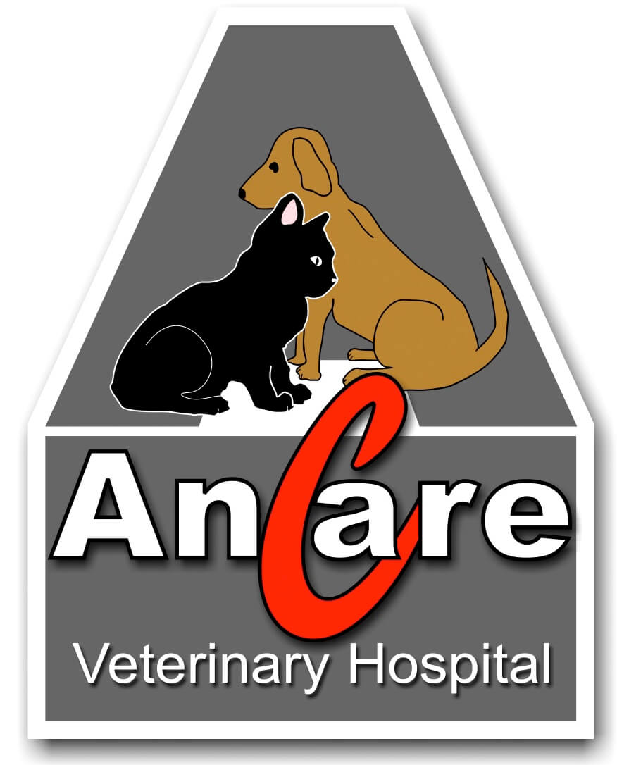 Ancare Veterinary Hospital