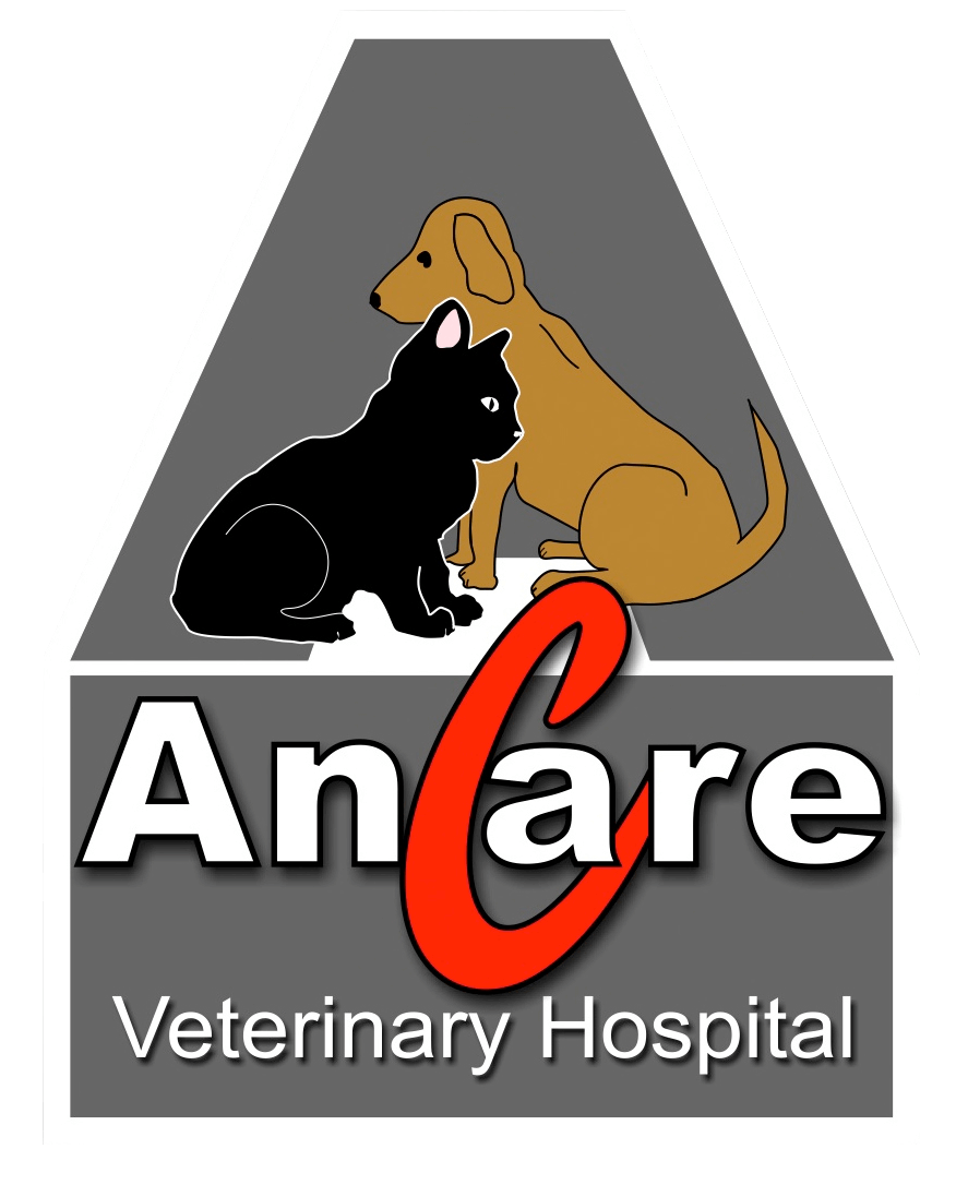 Ancare Veterinary Hospitals - Top Rated Illinois Veterinarians